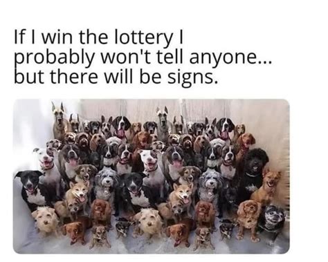 lottery memes 2023.